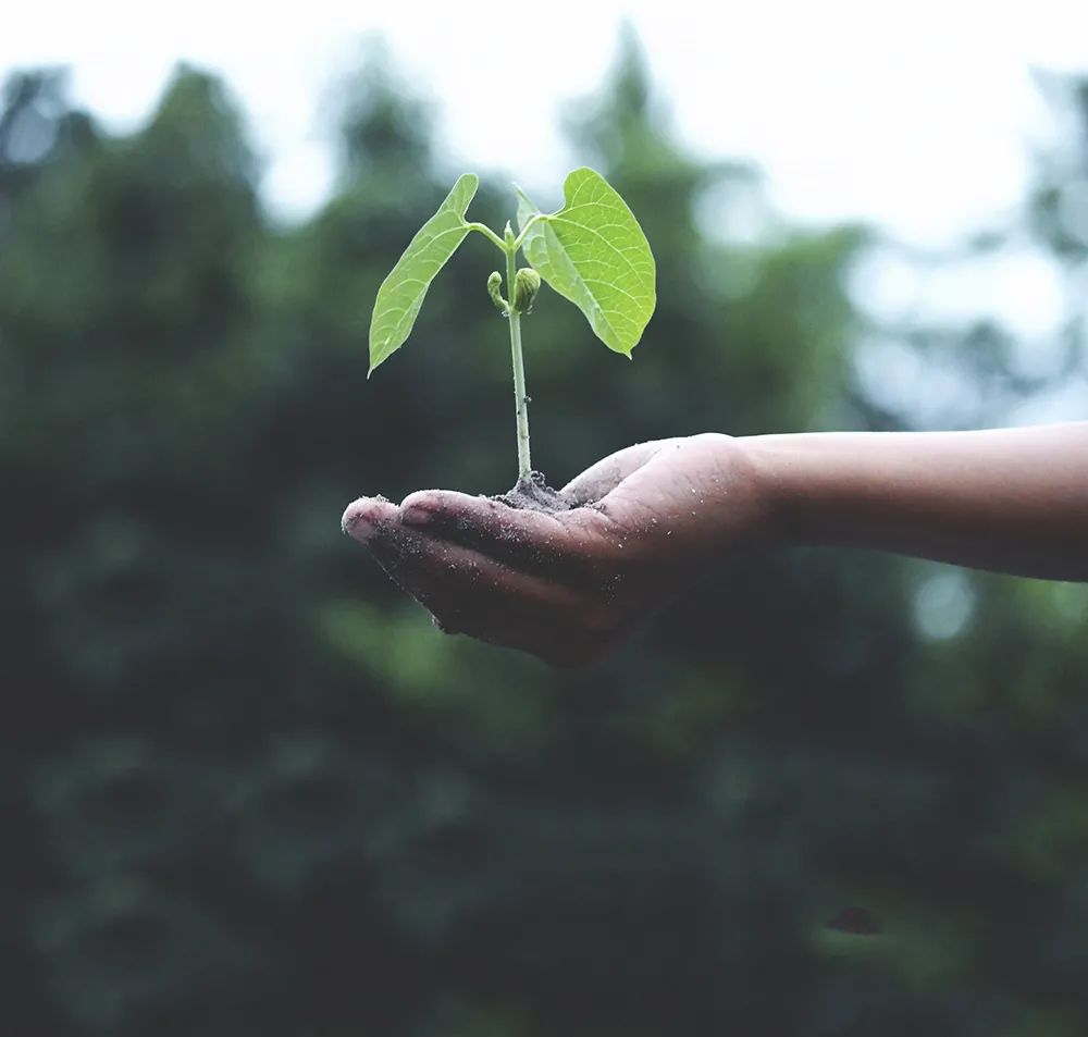 有機(jī)硅樹脂 有機(jī)硅樹脂